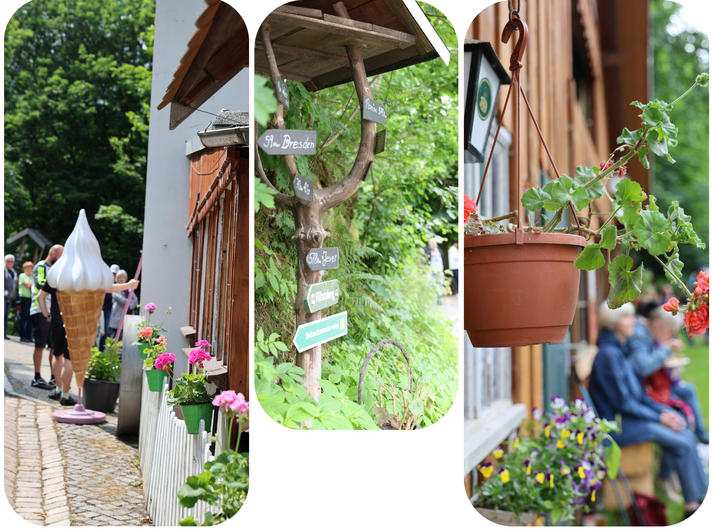 design ohne titel (56)